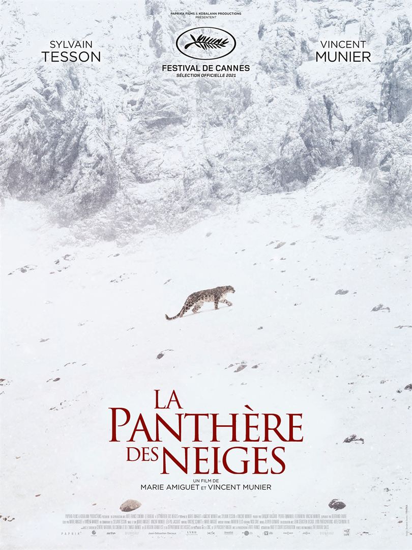 la-panthere-des-neiges